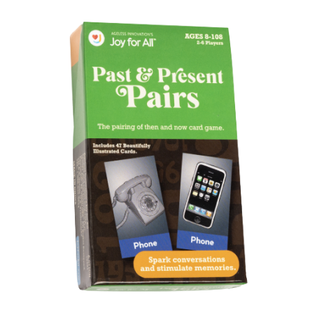 Instructions Past N Present Pairs