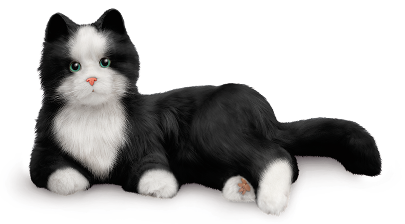 hasbro joy for all companion cat