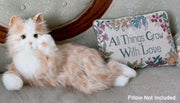 Companion Pet Cat - Orange Tabby