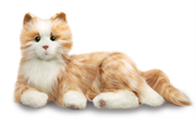 Companion Pet Cat - Orange Tabby