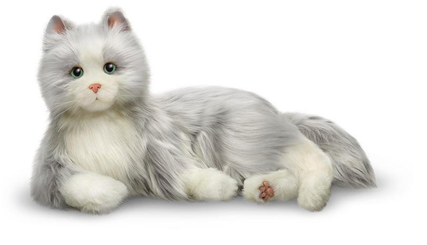 Companion Pet Cat - Silver with White Mitts